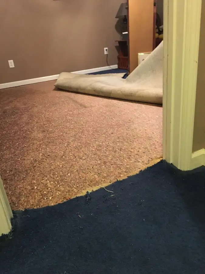Carpet pad removal revealing water damage during Water Mitigation Services in Deerfield